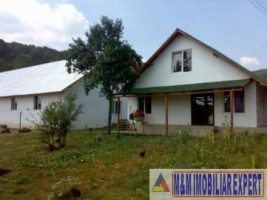 vila-cu-12-camere-si-ferma-pe-14-ha-mihaesti-arges-ideal-pentru-investitii-in-agroturism-3