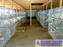 vila-cu-12-camere-si-ferma-pe-14-ha-mihaesti-arges-ideal-pentru-investitii-in-agroturism-4