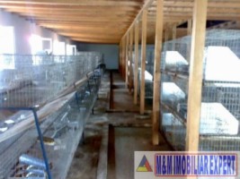 vila-cu-12-camere-si-ferma-pe-14-ha-mihaesti-arges-ideal-pentru-investitii-in-agroturism-5