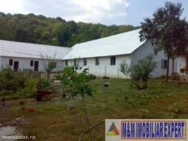 vila-cu-12-camere-si-ferma-pe-14-ha-mihaesti-arges-ideal-pentru-investitii-in-agroturism-6