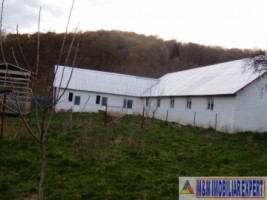 vila-cu-12-camere-si-ferma-pe-14-ha-mihaesti-arges-ideal-pentru-investitii-in-agroturism-9