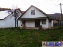 vila-cu-12-camere-si-ferma-pe-14-ha-mihaesti-arges-ideal-pentru-investitii-in-agroturism-10