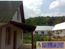 vila-cu-12-camere-si-ferma-pe-14-ha-mihaesti-arges-ideal-pentru-investitii-in-agroturism-7