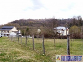 vila-cu-12-camere-si-ferma-pe-14-ha-mihaesti-arges-ideal-pentru-investitii-in-agroturism-13