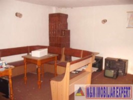 casa-vacanta-9-camere-teren-5500-mp-vladesti-arges-3