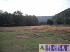 casa-vacanta-9-camere-teren-5500-mp-vladesti-arges-5