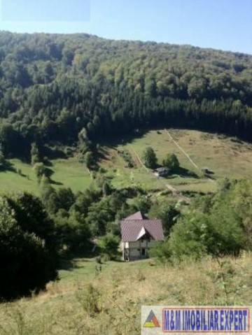 vila-11-camere-teren-1ha-rucar-1