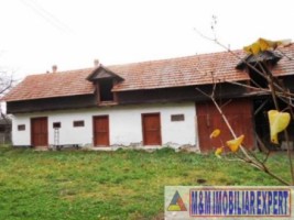 constructie-hala-grajd-bucatarie-vara-teren-2065-mp-leresti-arges-3