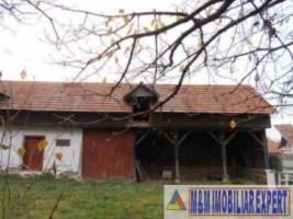 constructie-hala-grajd-bucatarie-vara-teren-2065-mp-leresti-arges-4