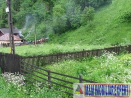 teren-3200-mp-intravilan-rucar-4