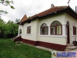 casa-3-camere-teren-4900-mp-cetateni-1