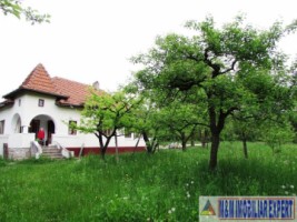 casa-3-camere-teren-4900-mp-cetateni-16