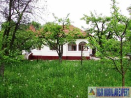 casa-3-camere-teren-4900-mp-cetateni-17