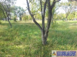 vand-teren-2942-mp-parcelat-in-2-loturi-in-valea-mare-pravat-arges-3