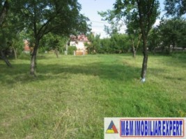 vand-teren-2942-mp-parcelat-in-2-loturi-in-valea-mare-pravat-arges-9