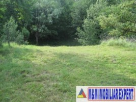 vand-teren-2942-mp-parcelat-in-2-loturi-in-valea-mare-pravat-arges-10