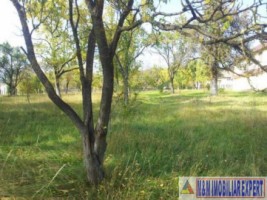 vand-teren-2942-mp-parcelat-in-2-loturi-in-valea-mare-pravat-arges-11