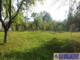 vand-teren-2942-mp-parcelat-in-2-loturi-in-valea-mare-pravat-arges-12