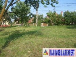 vand-teren-2942-mp-parcelat-in-2-loturi-in-valea-mare-pravat-arges-8