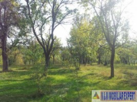 vand-teren-2942-mp-parcelat-in-2-loturi-in-valea-mare-pravat-arges-14