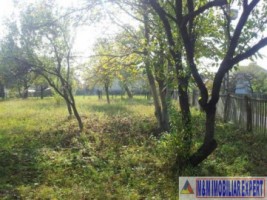 vand-teren-2942-mp-parcelat-in-2-loturi-in-valea-mare-pravat-arges-15