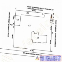 ila-in-stil-conac-interbelic-cu-12-camere-si-teren-de-3812-mp-de-vanzare-in-barlad-vaslui-proprietate-istorica-deosebita-8
