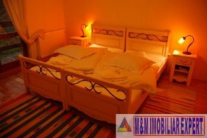 vila-tip-pensiunehan-unicat-de-vanzare-in-rasnov-brasov-oportunitate-de-investitie-turistica-6