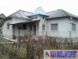 casa-3-camere-cu-teren-de-4000-mp-in-vulturesti-arges-case-de-vanzare-arges