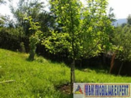 apartament-cu-3-camere-in-vila-cu-teren-de-477-mp-de-vanzare-in-valea-doftanei-prahova-5
