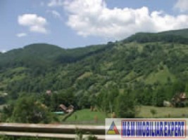 apartament-cu-3-camere-in-vila-cu-teren-de-477-mp-de-vanzare-in-valea-doftanei-prahova-6