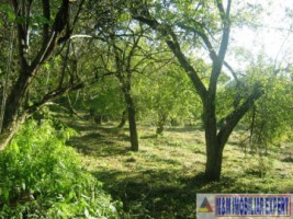 teren-extravilan-8000-mp-cu-livada-in-valea-romanestilor-campulung-muscel-arges-ideal-pentru-agricultura-si-investitie