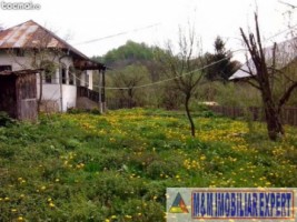 casa-2-camere-teren-484-mp-bughea-de-jos-2