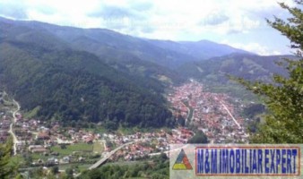 vila-cu-4-camere-si-teren-de-2000-mp-de-vanzare-rucar-arges-9