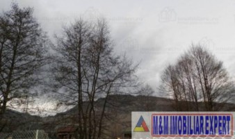 vila-cu-4-camere-si-teren-de-2000-mp-de-vanzare-rucar-arges-10