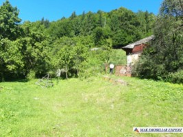 casa-batraneasca-stoenesti-teren-2900-mp-stoenesti-4
