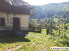 casa-batraneasca-stoenesti-teren-2900-mp-stoenesti-5