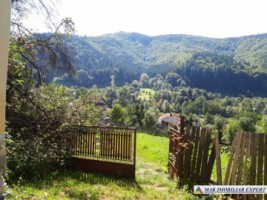casa-batraneasca-stoenesti-teren-2900-mp-stoenesti-9