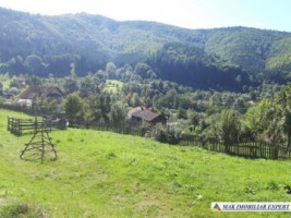casa-batraneasca-stoenesti-teren-2900-mp-stoenesti-10