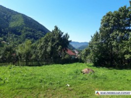 casa-batraneasca-stoenesti-teren-2900-mp-stoenesti-20
