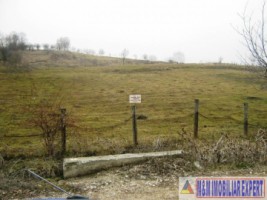 teren-extravilan-2500-mp-de-vanzare-in-boteni-arges-ideal-pentru-investitii-agricole