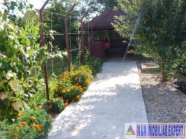 vand-vila-4-camere-teren-800-mp-pitesti-calea-campulung-arges-22
