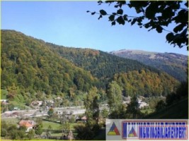 casa-gospodarie-taraneasca-teren-3600-mp-stoenesti-1