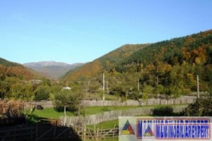 casa-gospodarie-taraneasca-teren-3600-mp-stoenesti-2