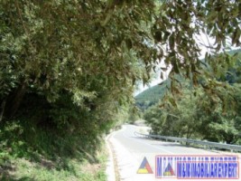 casa-gospodarie-taraneasca-teren-3600-mp-stoenesti-3