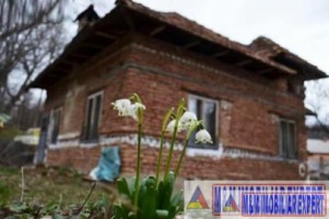 casa-3-camere-teren-1800-mp-godeni-1