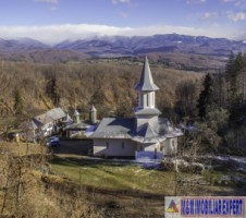 padure-de-8000-mp-de-vanzare-in-bughea-de-jos-arges-4