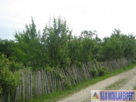 padure-de-8000-mp-de-vanzare-in-bughea-de-jos-arges-2