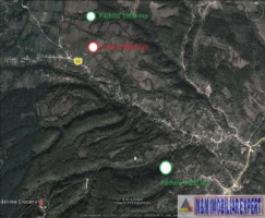 padure-de-8000-mp-de-vanzare-in-bughea-de-jos-arges-5