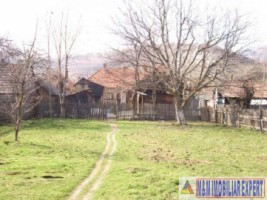 vila-4-camere-teren-1022-mp-moeciu-de-jos-brasov-5