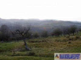teren-8600-mp-extravilan-de-vanzare-in-boteni-arges